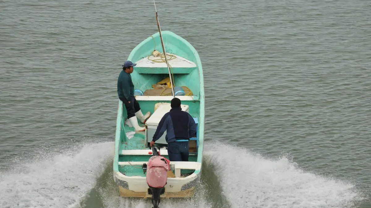 En riesgo la vida de pescadores por palizada